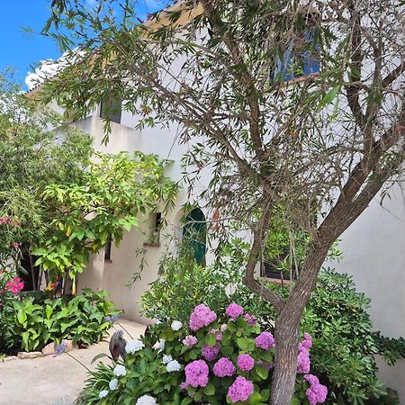 Joli Appartement Climatise Avec Terrasse A Moin 10 Minutes A Pieds De La Plage Calvi  Exterior foto