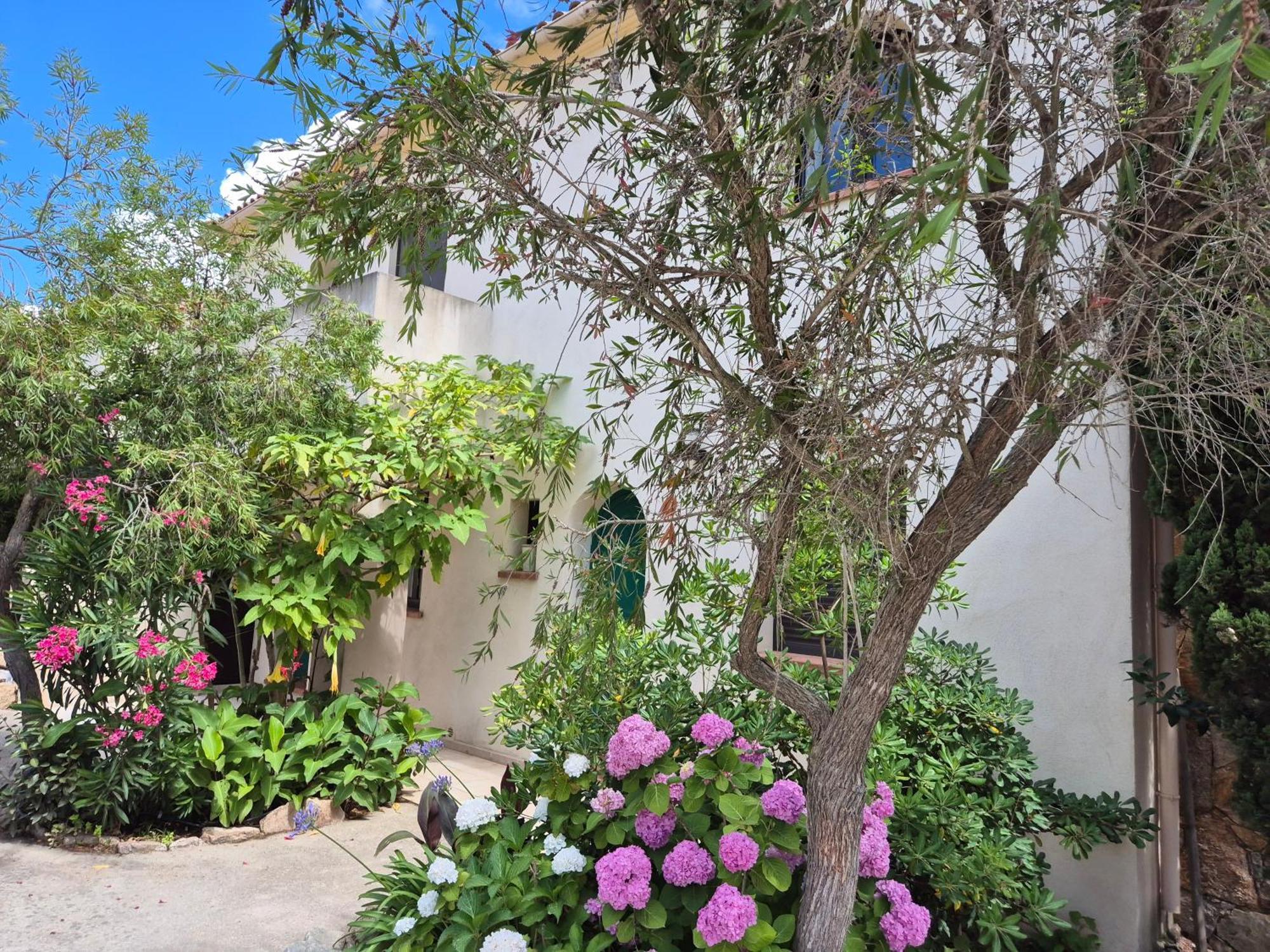 Joli Appartement Climatise Avec Terrasse A Moin 10 Minutes A Pieds De La Plage Calvi  Exterior foto